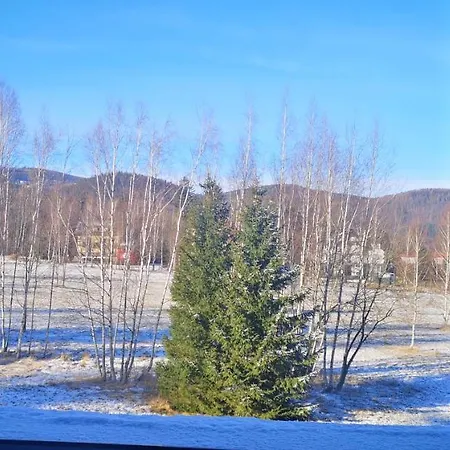 Agata カルパッチ