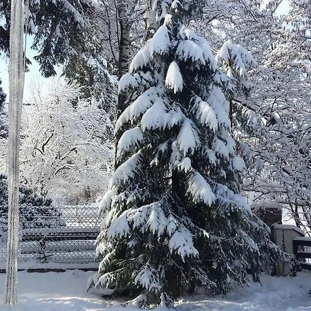 Agata ホームステイ *